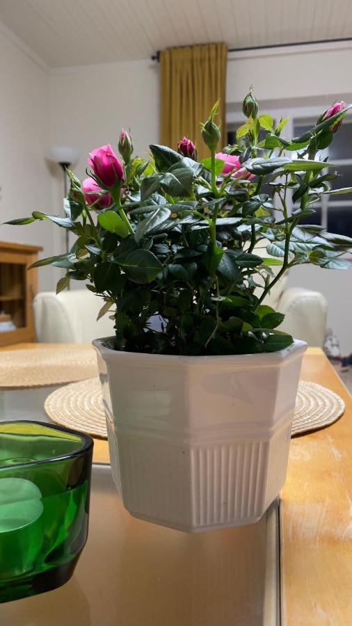 Manni Homestay Kuressaare Esterno foto