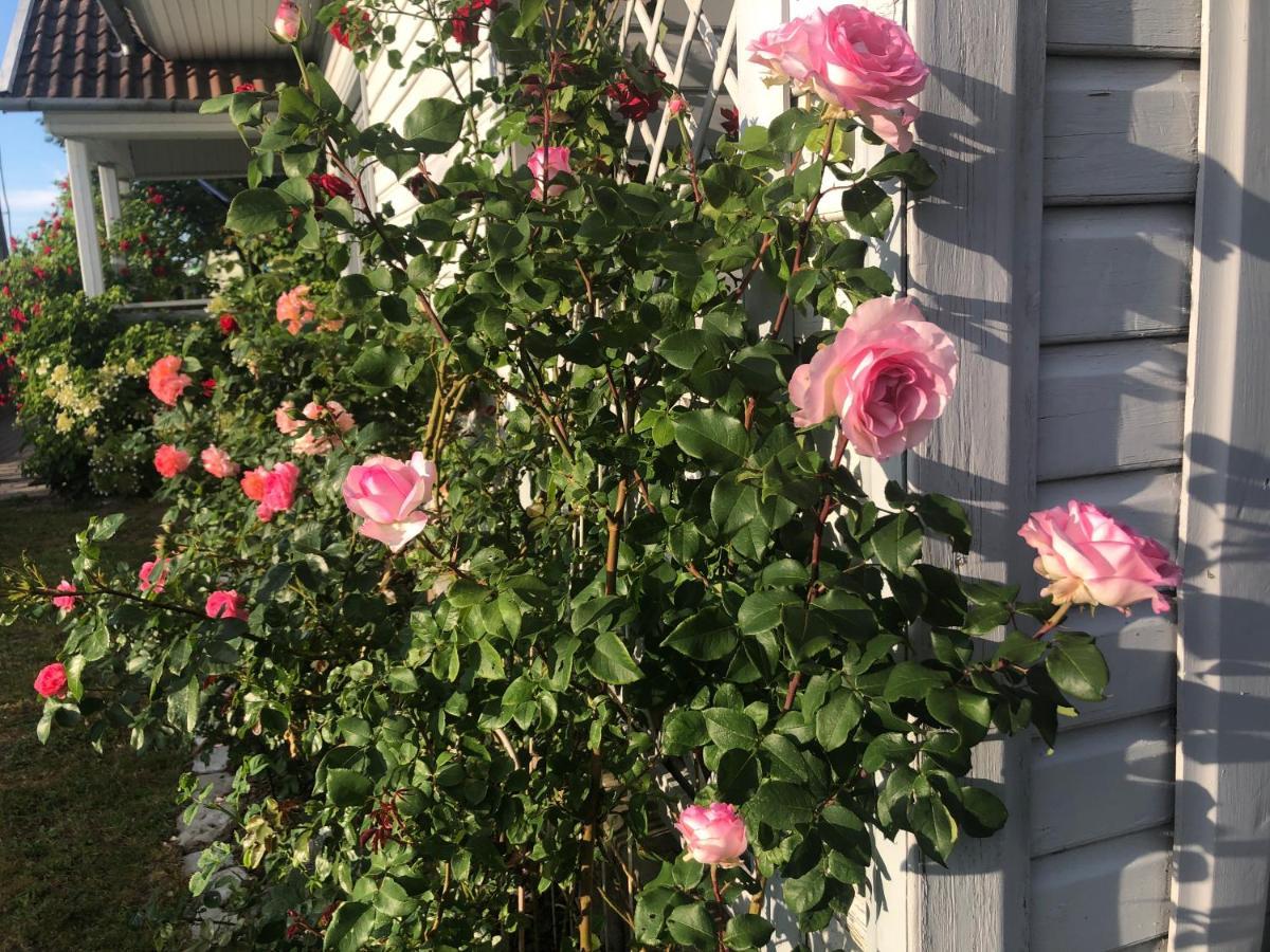 Manni Homestay Kuressaare Esterno foto