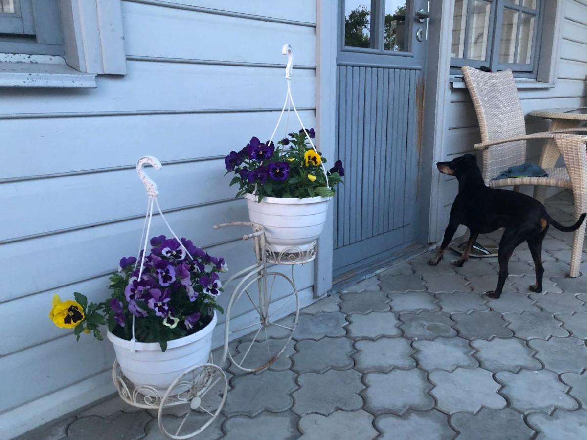 Manni Homestay Kuressaare Esterno foto