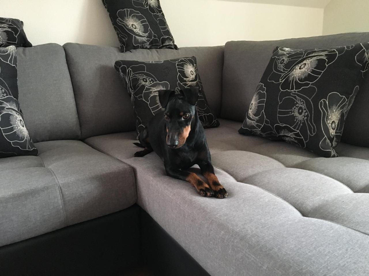 Manni Homestay Kuressaare Esterno foto